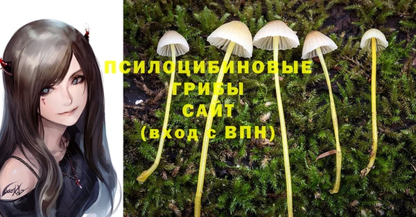 2c-b Алексеевка
