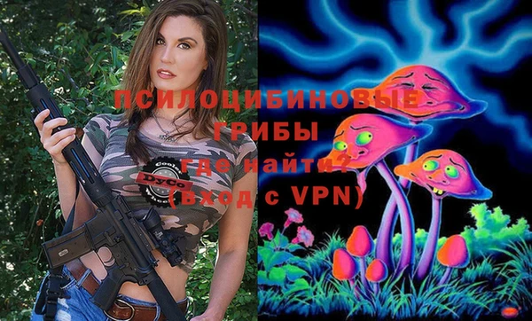 2c-b Алексеевка