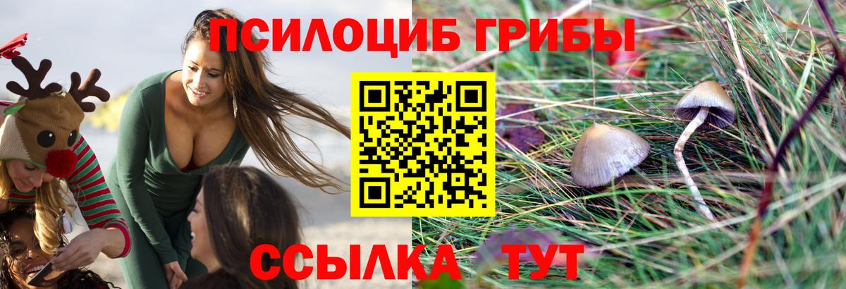 Галлюциногенные грибы Psilocybine cubensis  Вход с VPN  Псилоцибиновые грибы мицелий  Тейково 